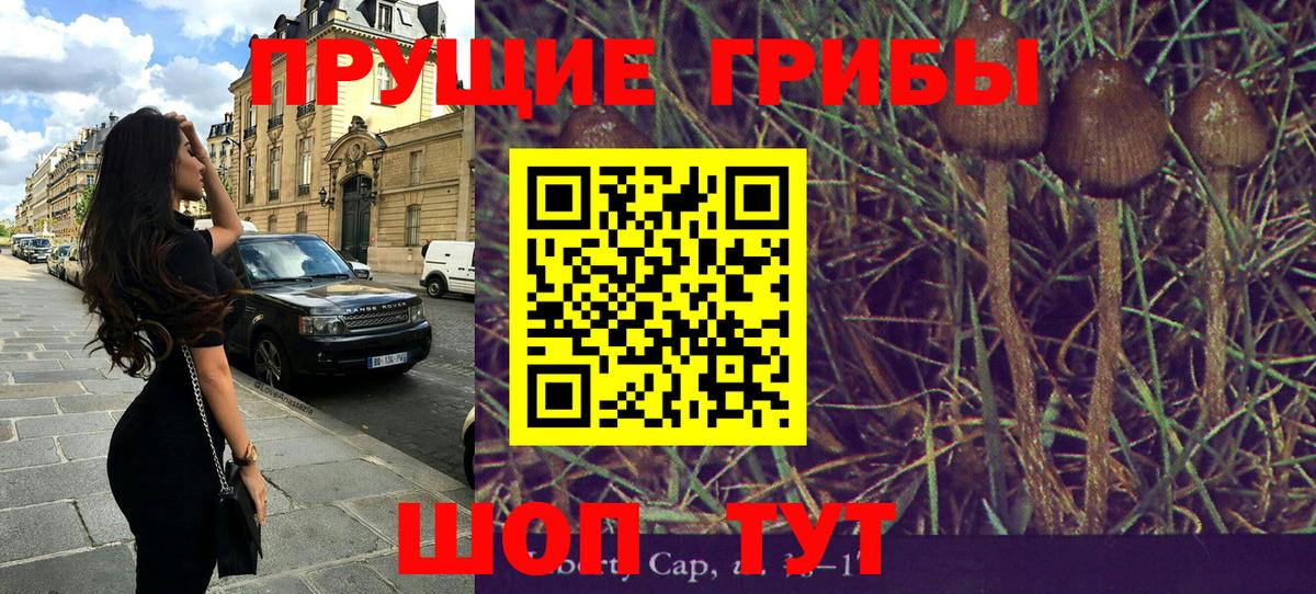 Галлюциногенные грибы прущие грибы Кириши